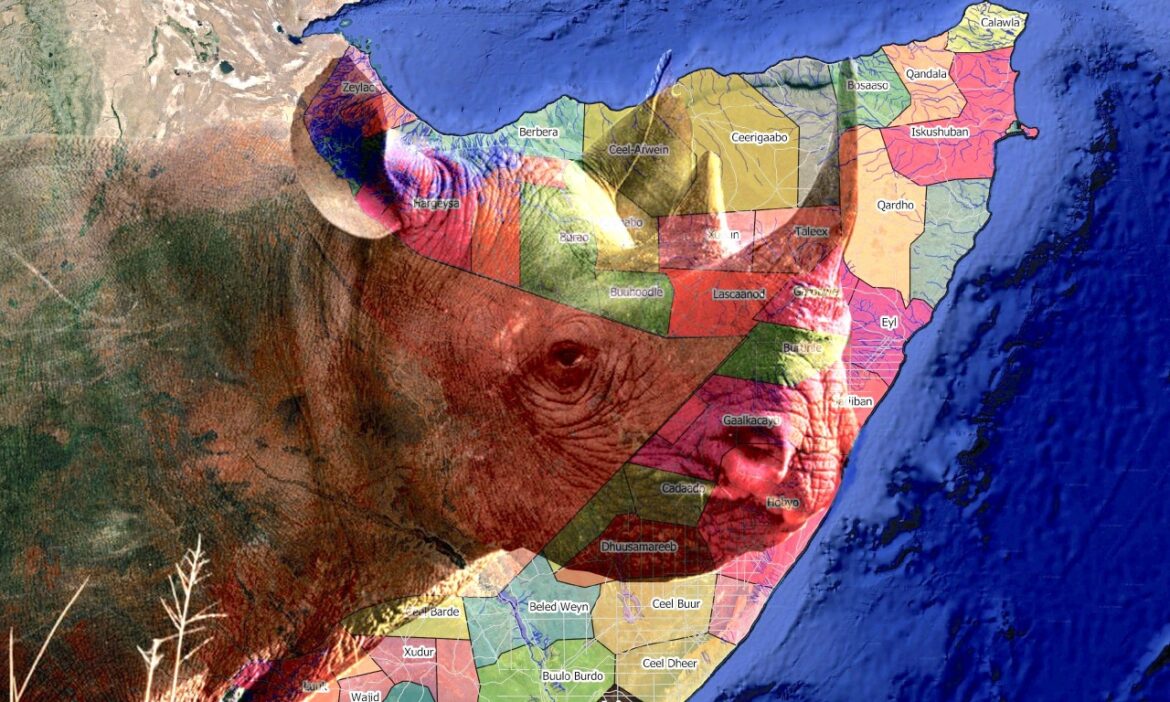 africa-onu-RINO-map-for-future